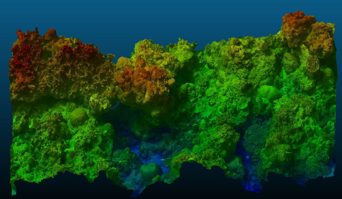 PHOTOGRAMMETRY : Thesis defence | CREOCEAN