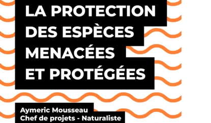 la protection des espèces menacées et/ou protégées