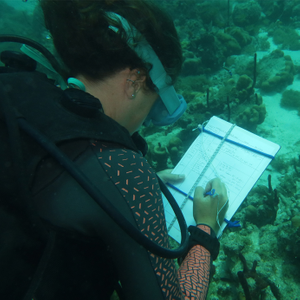 240144_Evaluation_environnementale_du_projet-Miniature