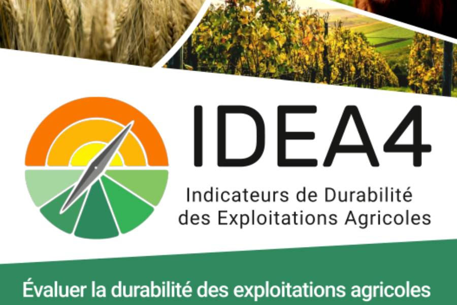 Ecole Keran - formation la durabilité des exploitation agricole