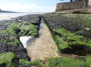 travaux sur les plages de St-Palais / mer
