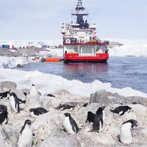 image liste : Infrastructures portuaires et maritimes de la station scientifique Dumont d'Urville Terre Adélie – Antarctique