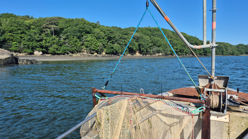 Pêche petit chalut à perche