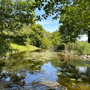 Image liste : Gestion équilibrée de la ressource en eaux du bassin versant de la Vilaine
