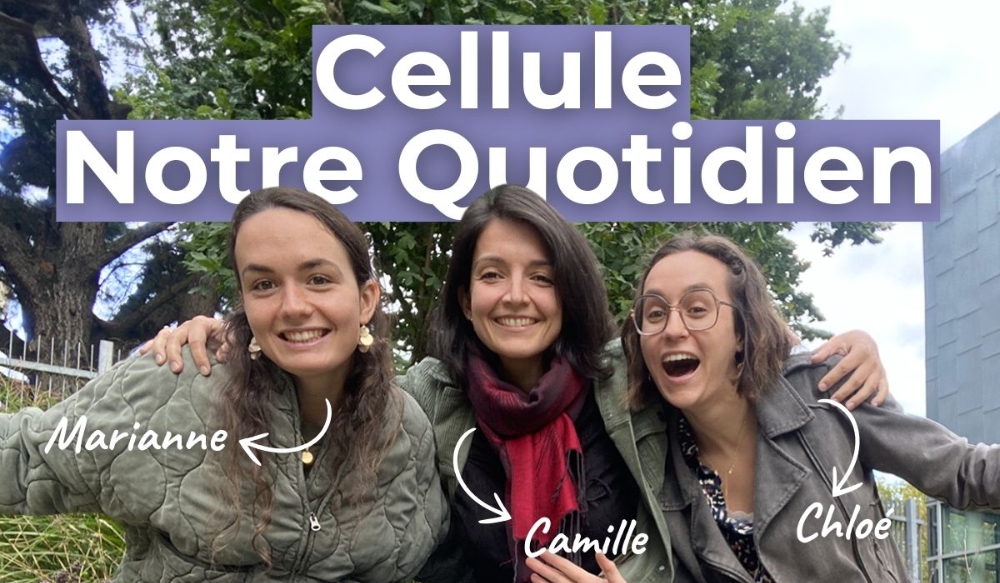 Rencontre avec les équipes de la cellule Notre Quotidien du comité d'impact