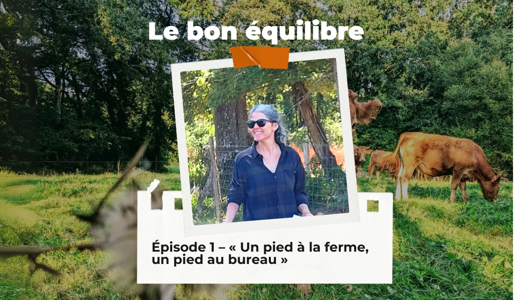 Episode 1 : Le bon équilibre
